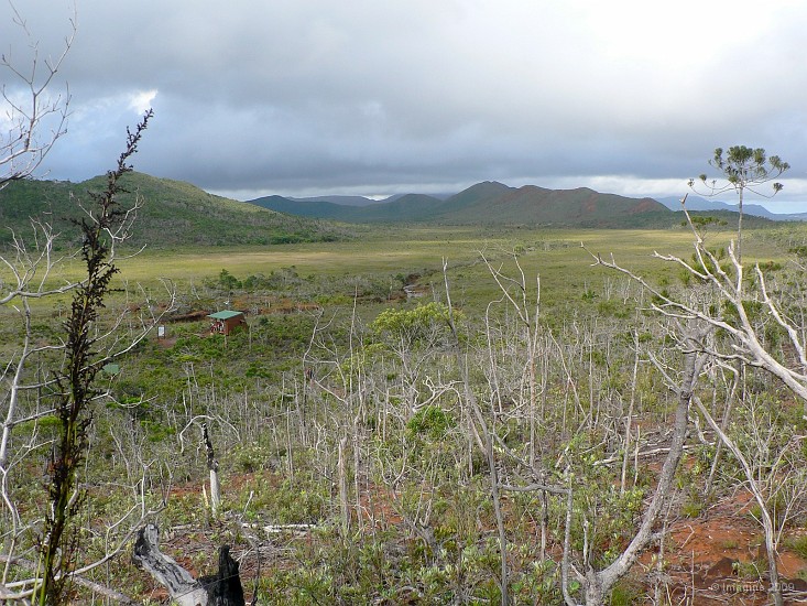 38- La vallee et le refuge des Neocallitropsis.JPG